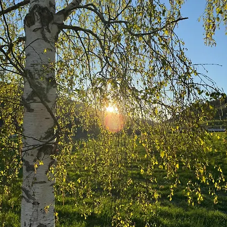 Kjellerleilighet Apartamento