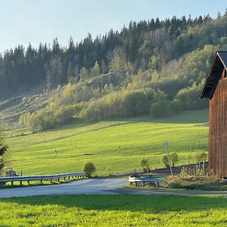 Kjellerleilighet