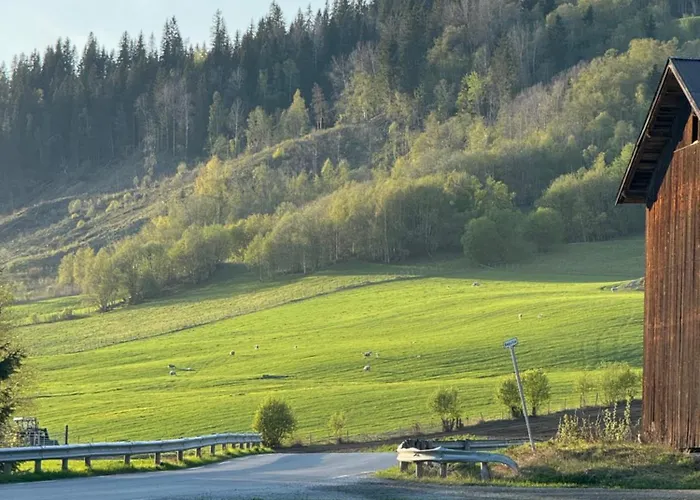 Kjellerleilighet